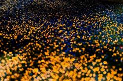 赤峰星辰售電公司電話號碼查詢