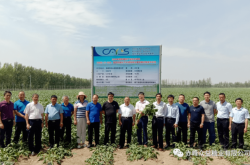 赤峰眾益甜菜收購電話號碼查詢