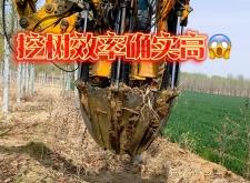 赤峰市挖樹機租賃電話號碼