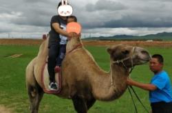 赤峰林西張秋楠診所電話(huà)號(hào)碼