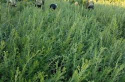 赤峰檸條顆粒廠電話號(hào)碼查詢