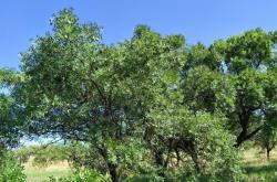 赤峰紅廟子鎮(zhèn)加油站電話號碼