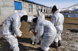 赤峰農(nóng)牧學(xué)校學(xué)院電話