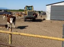 赤峰市巴林右旗電話區(qū)號是多少