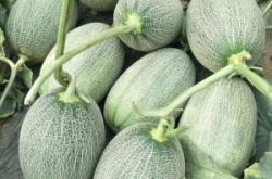 赤峰小蜜蜂書包電話多少號(hào)