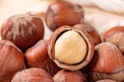 赤峰榛子干果批發(fā)電話多少號(hào)