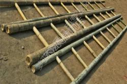 赤峰竹梯子廠家電話多少號(hào)