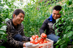 內(nèi)蒙古農(nóng)信赤峰客服電話是多少