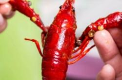 赤峰老付水果超市地址電話號碼