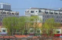 赤峰紅星路賣花的地方電話號碼