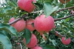 赤峰寧城恒業(yè)物流電話查詢地址