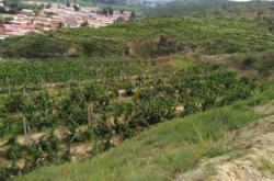 赤峰市玉龍高速收費電話號碼