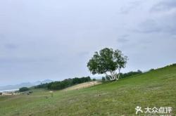 赤峰營地教育局官網(wǎng)電話號碼