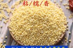 赤峰大磊手機(jī)批發(fā)店電話號(hào)碼