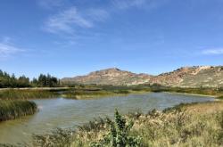 赤峰市烏丹鎮(zhèn)衛(wèi)校電話號碼