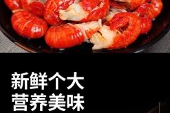 赤峰冷凍龍蝦批發(fā)電話多少號(hào)