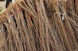 赤峰樹苗架桿廠家直銷電話號(hào)碼