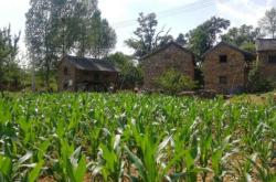 赤峰到錫盟東蘇拼車電話號(hào)碼