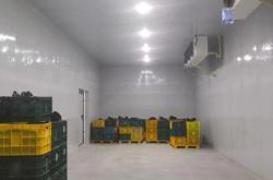 赤峰市豬肉冷庫批發(fā)電話號碼