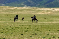 赤峰巨匯網(wǎng)吧電話多少號(hào)碼