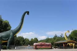 赤峰龍?zhí)稖掀麟娫捥柎a查詢