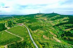 赤峰市紅山區(qū)戶政電話號碼