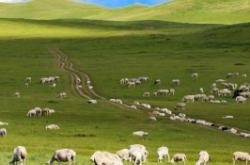 赤峰傲野拖拉機(jī)售后電話號碼