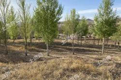 赤峰松山區(qū)匯通快遞電話