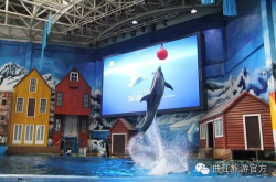 赤峰市夢(mèng)幻海樂(lè)世界電話號(hào)碼