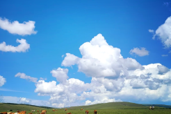赤峰旅游團在哪找團隊電話號碼