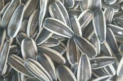 內(nèi)蒙赤峰葵花經(jīng)銷商電話號(hào)碼