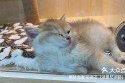 赤峰大奇寵物店電話地址查詢(xún)