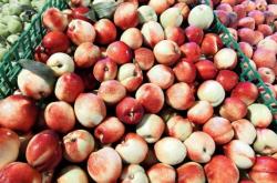 赤峰紅山區(qū)水果超市電話號碼