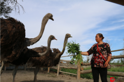 赤峰旱冰場(chǎng)團(tuán)購(gòu)群電話(huà)號(hào)碼