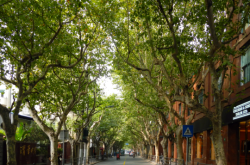 赤峰路達救援隊電話地址查詢