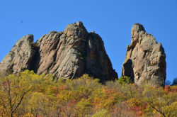 赤峰林西防護網電話號碼