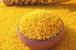 赤峰小米物流電話多少啊