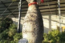 赤峰植物生態(tài)園電話號碼查詢