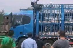 赤峰生豬加工廠電話號(hào)碼多少