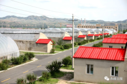 赤峰賣(mài)草莓的市場(chǎng)地址電話號(hào)碼