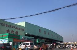 赤峰切花菊批發(fā)市場(chǎng)電話號(hào)碼