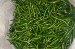 赤峰優(yōu)質(zhì)大姜供應(yīng)商電話號碼