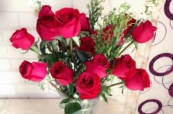 赤峰銀馬小區(qū)鮮花店電話號(hào)碼