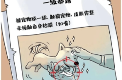 赤峰市狂犬病門(mén)診電話號(hào)碼