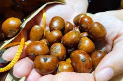 赤峰平莊鎮(zhèn)烤鴨店電話號碼