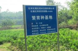 赤峰黃芪幼苗種植基地電話號碼