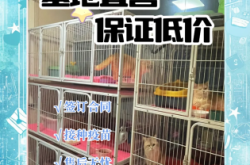 赤峰寵物杜賓出售電話號(hào)碼查詢