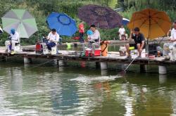 赤峰釣魚臺辣嘴鴨電話地址