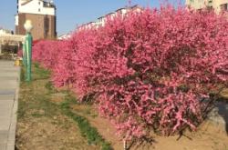 赤峰林西私人健身房電話號碼