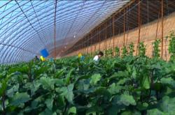 赤峰市蔬菜超市電話地址查詢